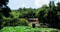 長沙出發(fā)到花明樓、韶山、張家界國家森林公園、天門仙山國家森林公園四日游